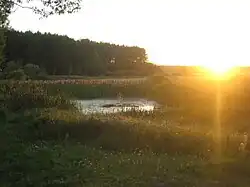 Канал с.Сухаревка