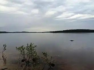 Озеро близ посёлка Кимоваара