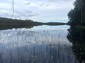 Вид с юго-западного берега