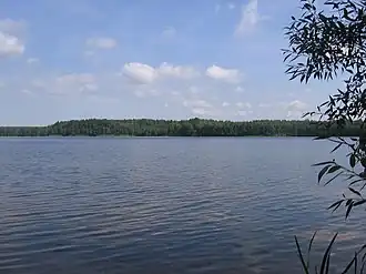 Озеро летом 2007 года