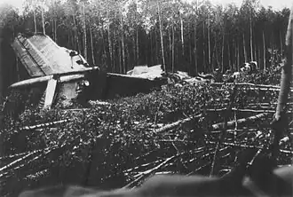 Последствия катастрофы