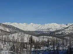 Катунский хребет, панорама с видом на горельник, Катон-Карагайский ГНПП.