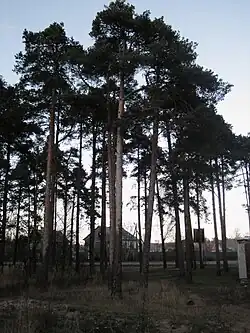 Кирилловское в октябре. 2012 год