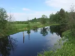 Вид с автомобильного моста против течения