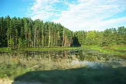 Искусственный пруд в дер. Клумчтово