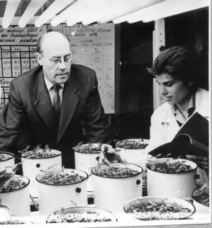 Козлов и лаборант М. Кольцова наблюдают за опытными растениями.