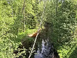 Вид с автомобильного моста