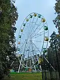 Колесо обозрение в парке