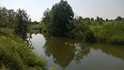 Колпяна в устье