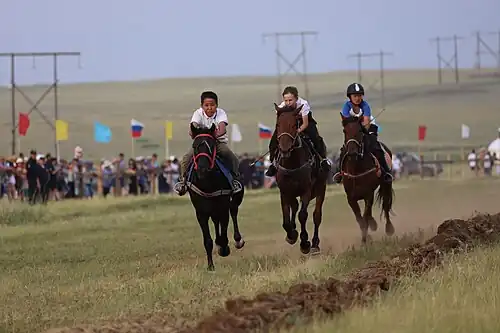 Конные скачки на гастрофестивале