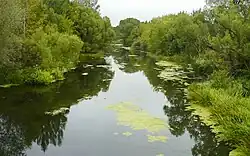 Река Короча близ села Доброе