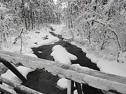 Река в декабре 2021 г. у визит-центра Костомукшского заповедника