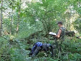 На вершине Кочебужа.