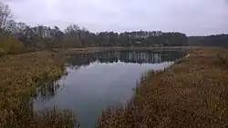 Река Бездна в Никольском, Спасский район