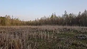 Вид на озеро в апреле 2020 года