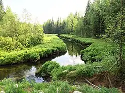 Вид против течения