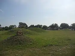 Курганы в городе