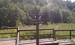 Водоохранная зона Машкинского ручья, 2015 год