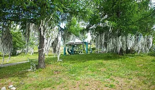 На Улаганском перевале