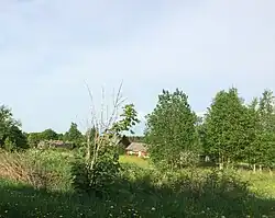 Деревенские дома