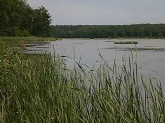 река в заказнике Урочище Унава