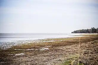 Лебяжий заказник весной