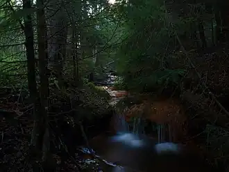 Лесной ручей в Карелии (Россия)