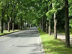 Вид от Александровской улицы