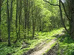 Вид от Новой дороги