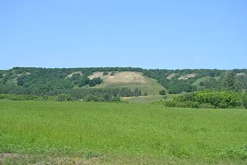 Заливные луга