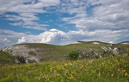 Меловые степи.