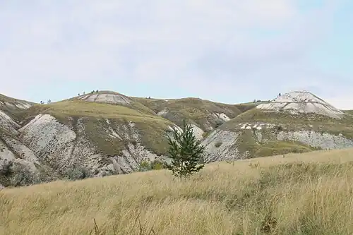 Меловые холмы.