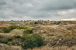 Ландшафт Керченского полуострова в местах добычи известняка