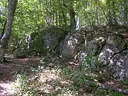 Место подвига и героической гибели 24 июля 1942 Халанского Макара, Чубарова Леонида, Кострубей Нины Петровны