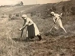 Мехреньга - на сенокосе