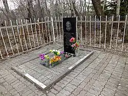 Могила космонавта Григория Нелюбова