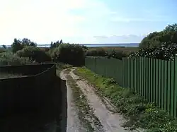 Вид на Псковское озеро со стороны д. Молгово