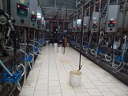 Молочно-товарная ферма ОАО «Некрашинский» аг. Волосовичи