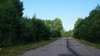 Подъезд к деревне с южной стороны