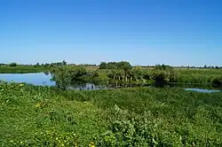 Руины моста