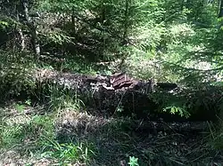 Железнодорожные запчасти на финском станционном фундаменте.