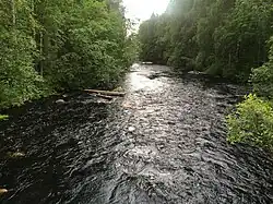 Вид по течению