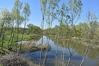 в с. Мягкоход