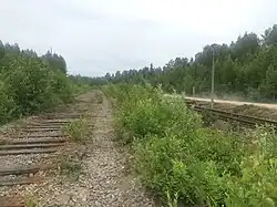 Разобранный подъездной путь к лесозаводу.