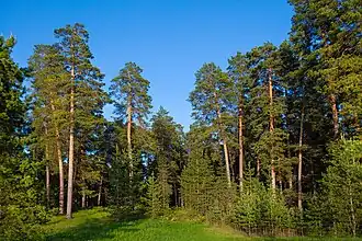 Национальный парк Бузулукский бор