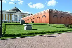 Кустарник повторяет очертания Вознесенского собора Вознесенского монастыря, 2016 год