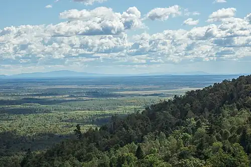 Tilio amurensis-Pinetalia koraiensis