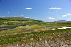 Река Немуръёган летом 2017 года