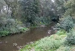 река в Овруче