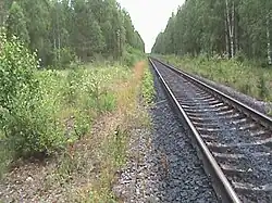 Заросший перрон, вид в сторону Пийтсиёки